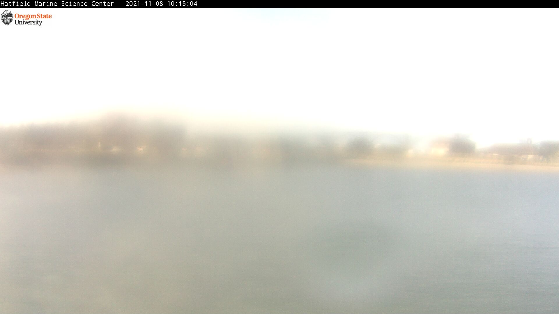 Web camera for Hatfield Marine Science Center